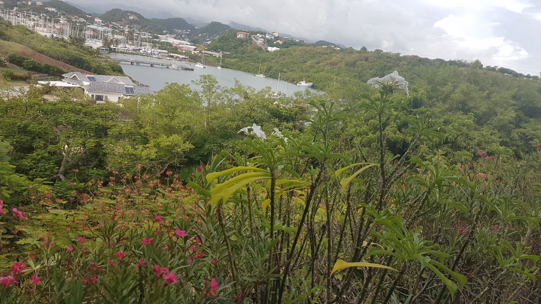 Grenada Master Real Estate Land Sales